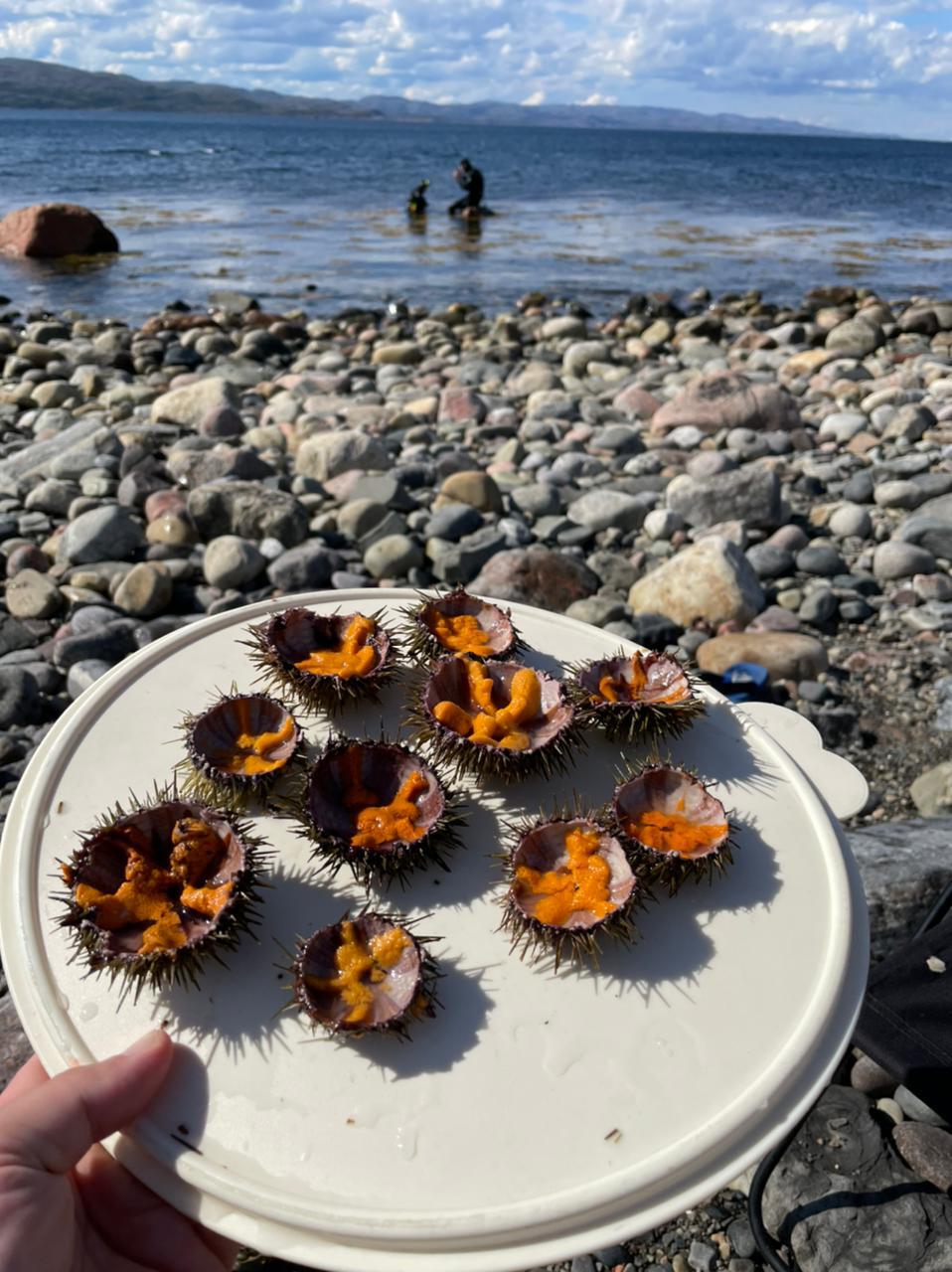 Туры на Кольский в Марте