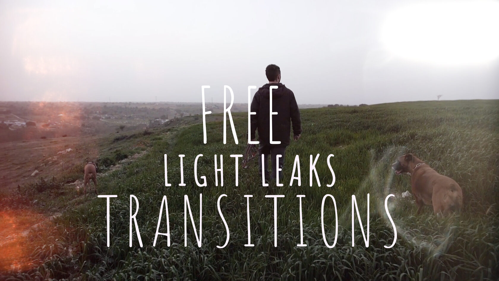 3 Free Light Leaks Transitions For Premiere Pro 3 Free Light Leaks Transitions For Premiere Pro