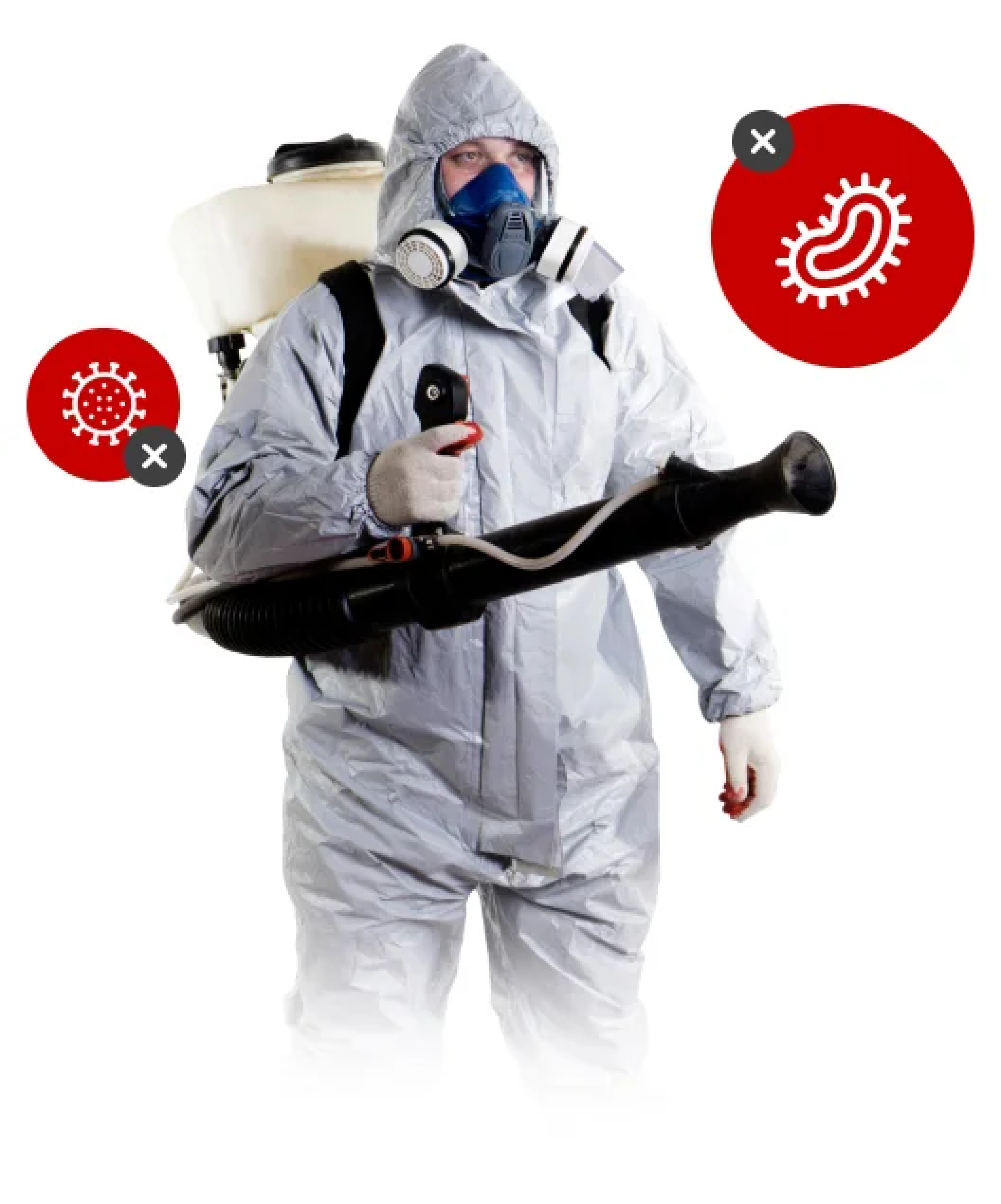 Единая городская служба дезинфекции в Москве: услуги по дератизации и ...