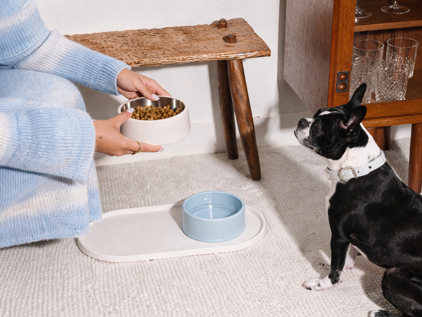 собака и миска с кормом