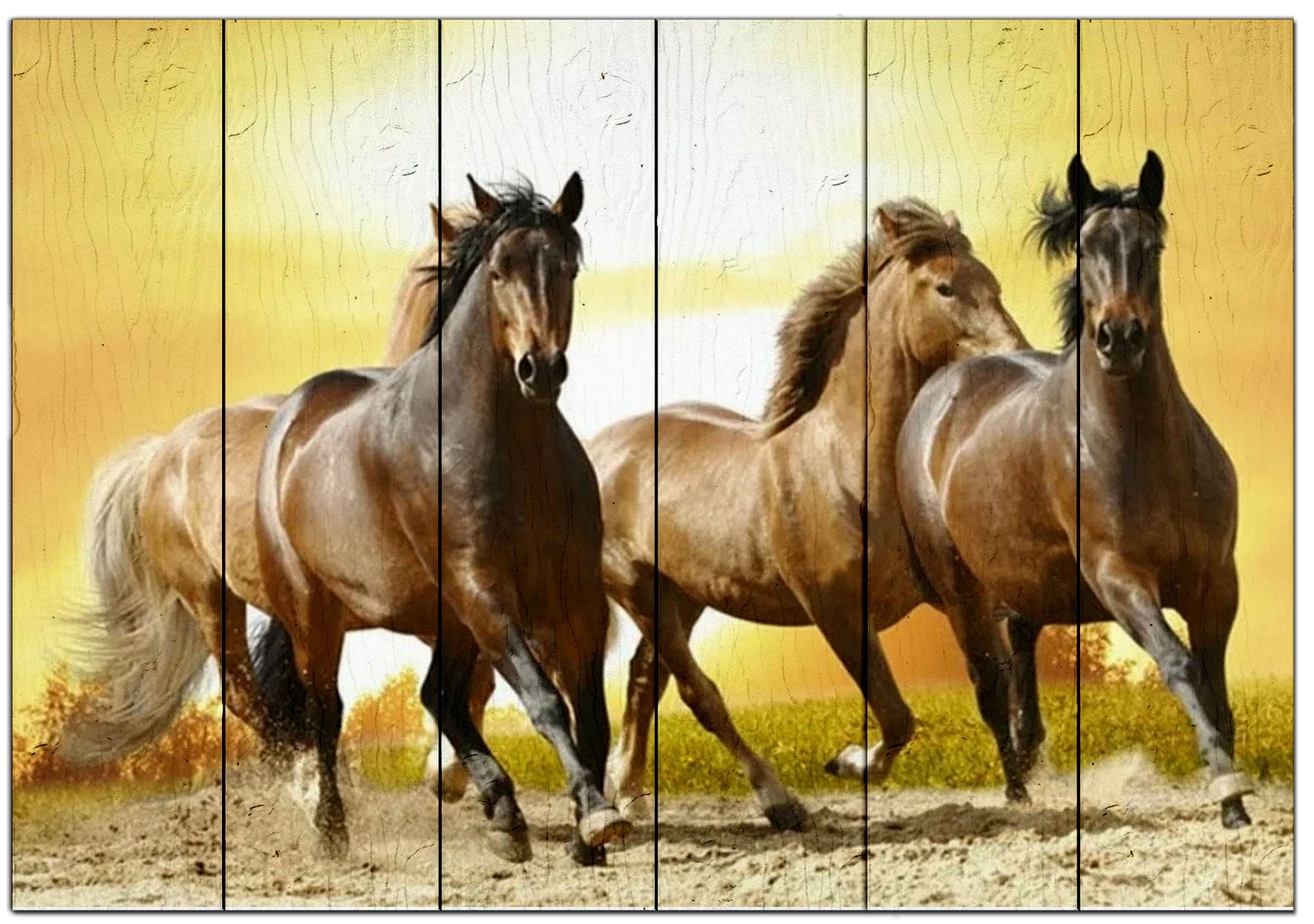 Кони 3. Андалузская лошадь табун. Бегущая лошадь видео. Ролики с лошадьми либо. Смотреть картинки табун красивых лошадей.