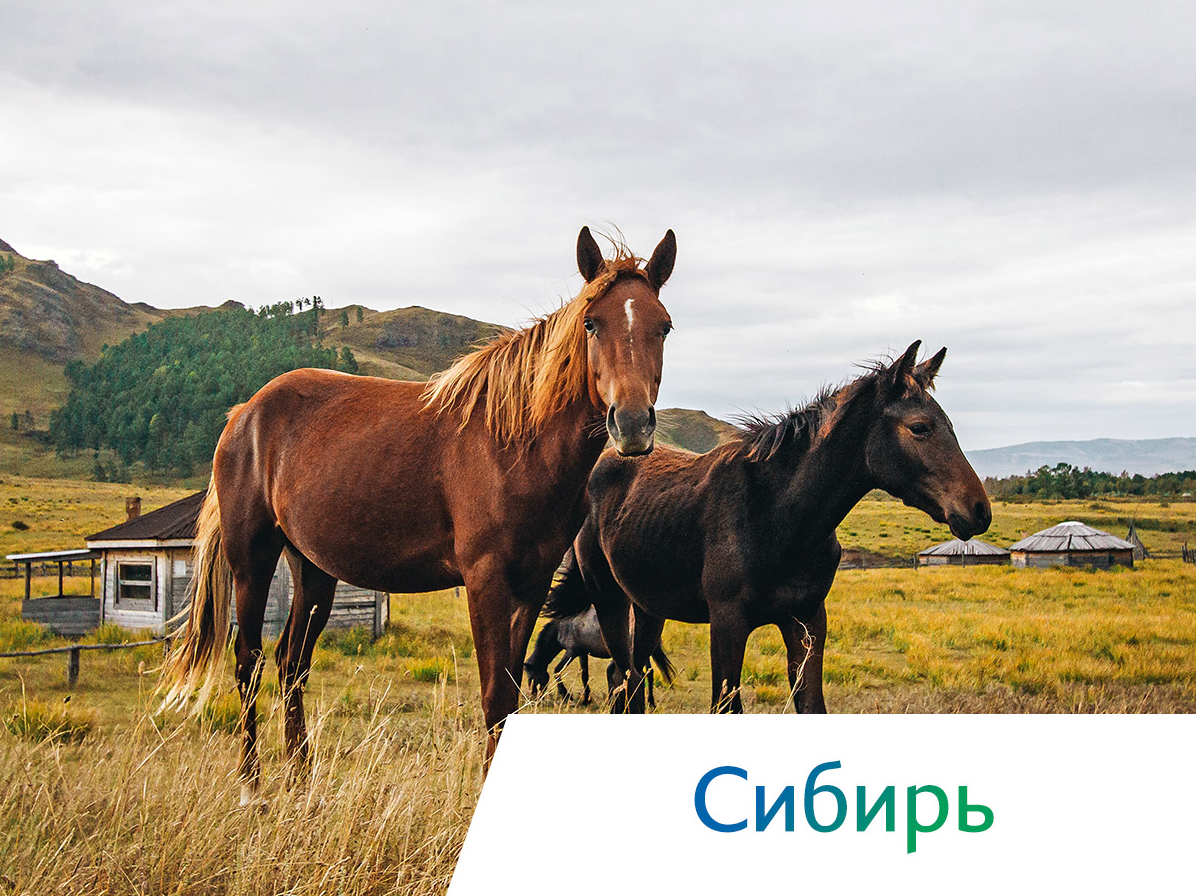 глэмпинг в карелии