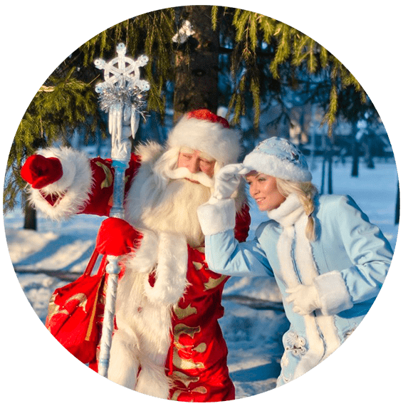 Аниматор Дед мороз на выезд Москве