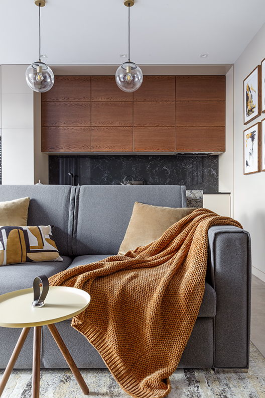 Alisa Svistunova — interior designer