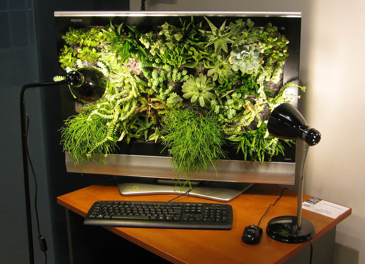 инсталляция из монитора и живых растений