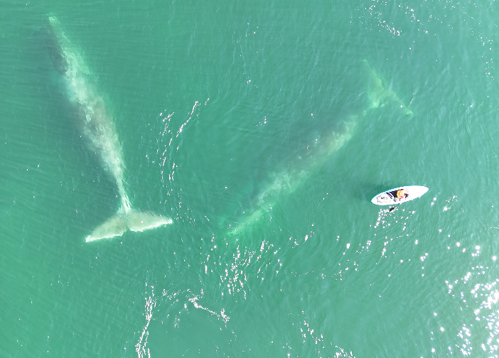 Китовая гавань и тот самый остров – это уникальное дикое место в районе 