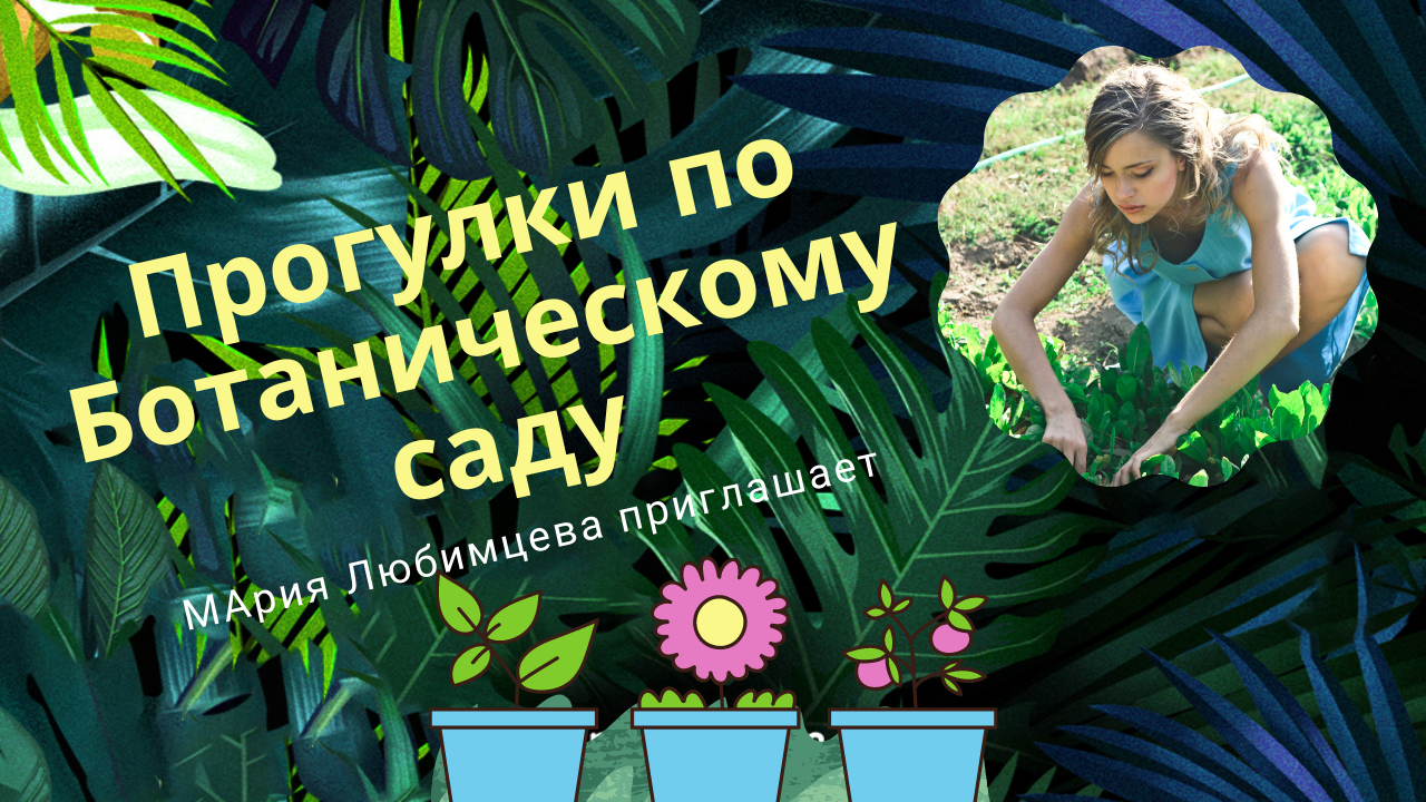 Превью для YouTube