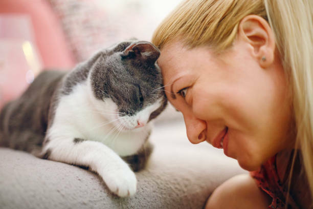 Корм для кошек Ю.Корея