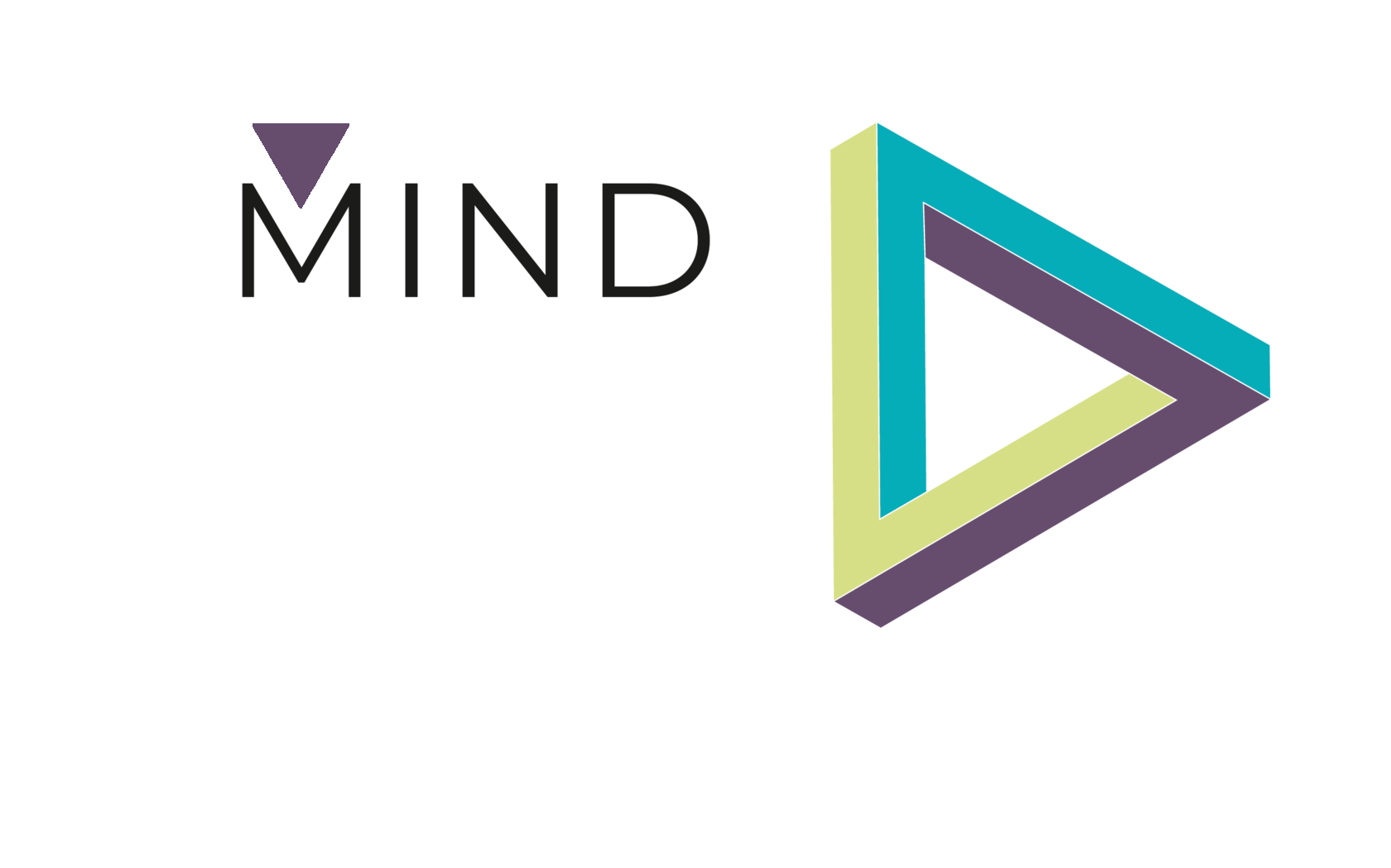 MindMetaVision logo