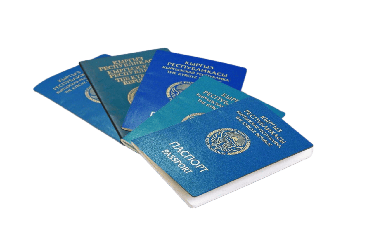 гражданство киргизии