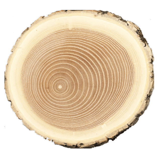 дубовые лестницы на заказ витебск