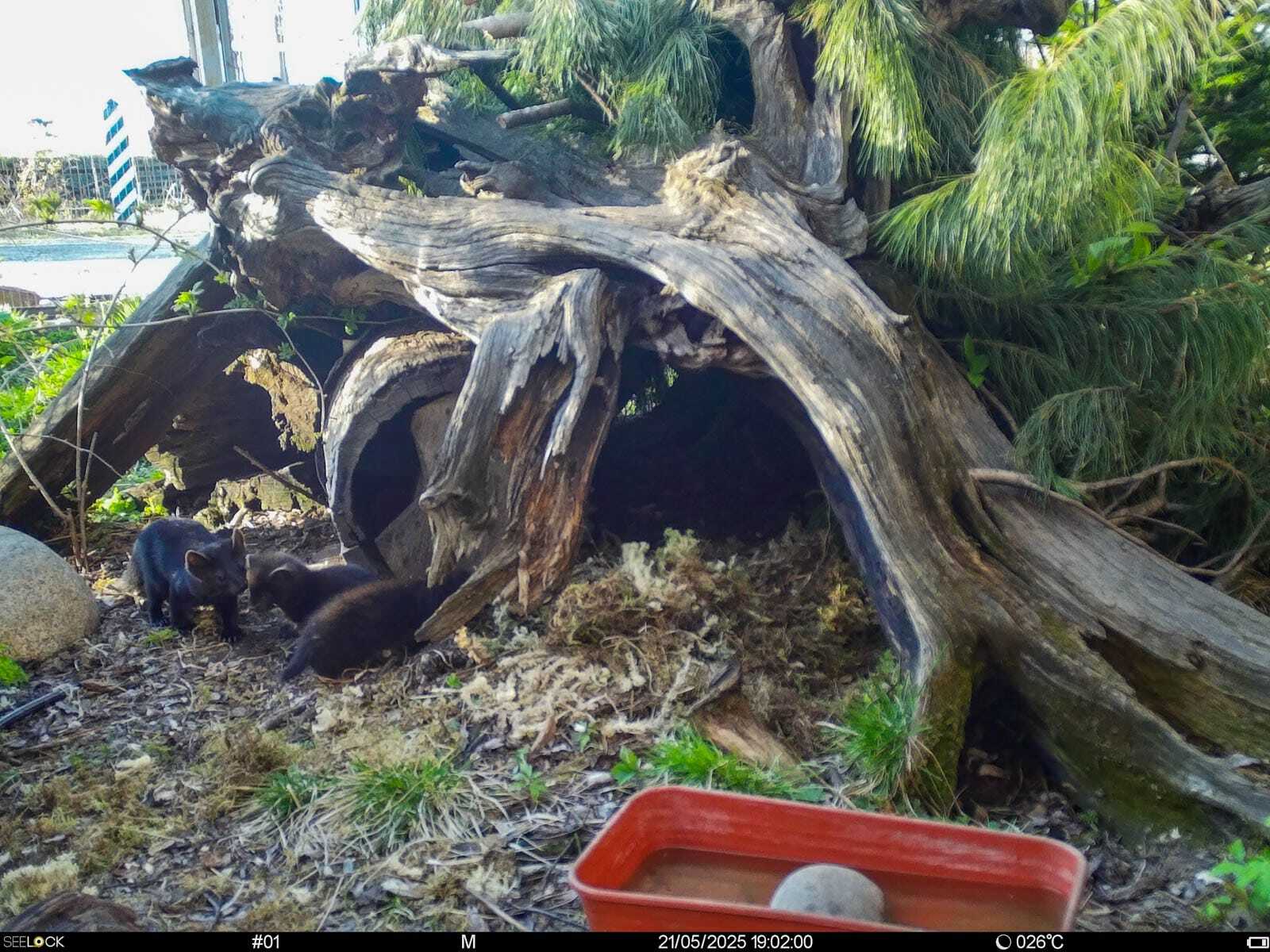 Байкальский заповедник