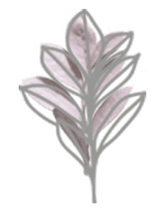 букеты Полтава