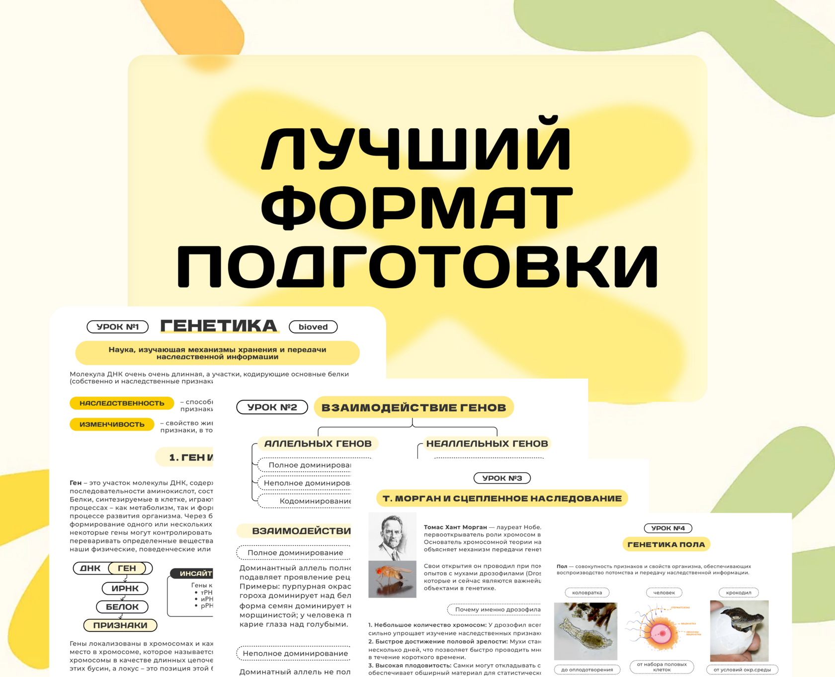 Курс Генетика