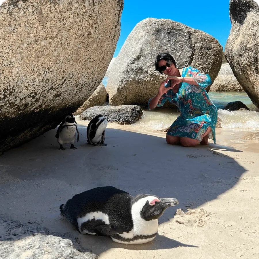 Тур в ЮАР - Южно-африканские пингвины