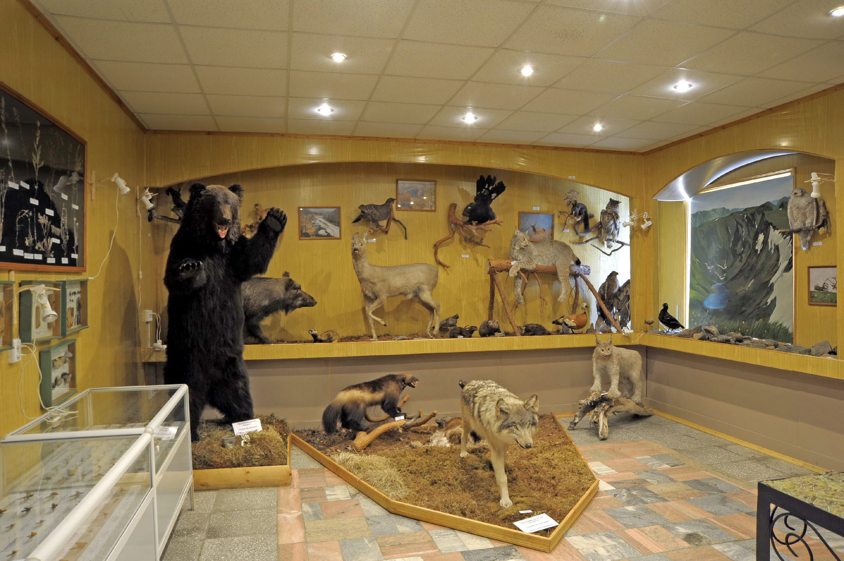 лимнологический музей на байкале