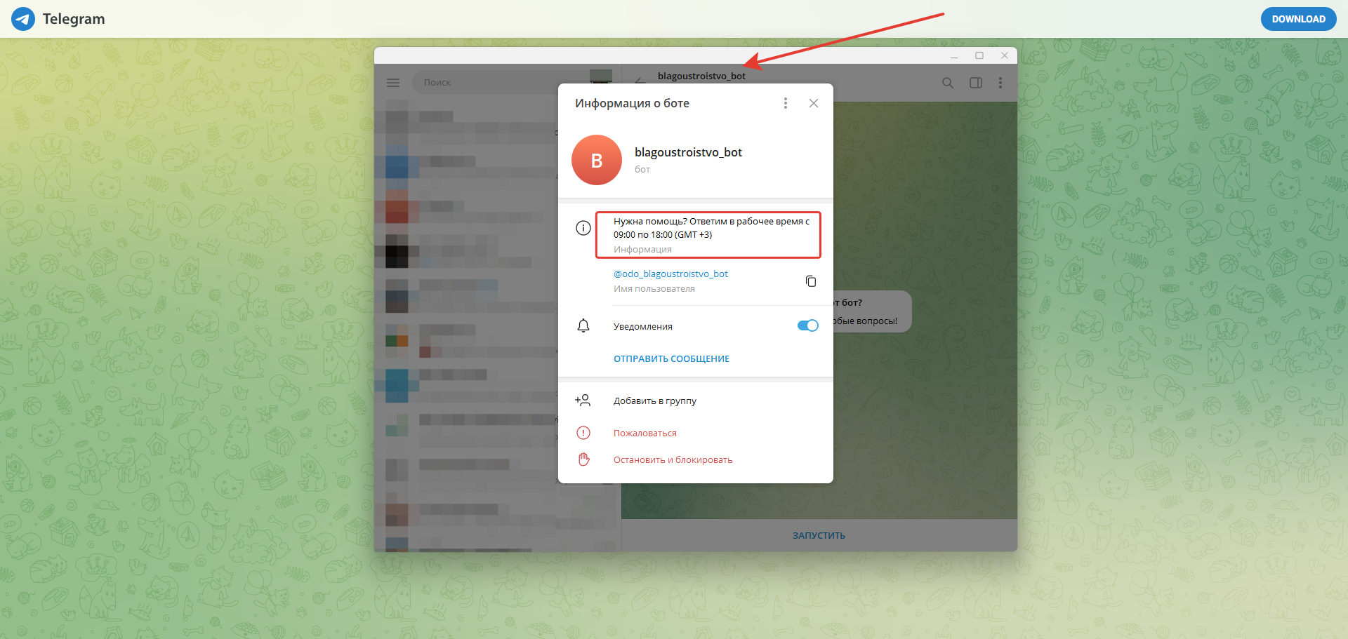 Описание отображается в разделе «Информация»