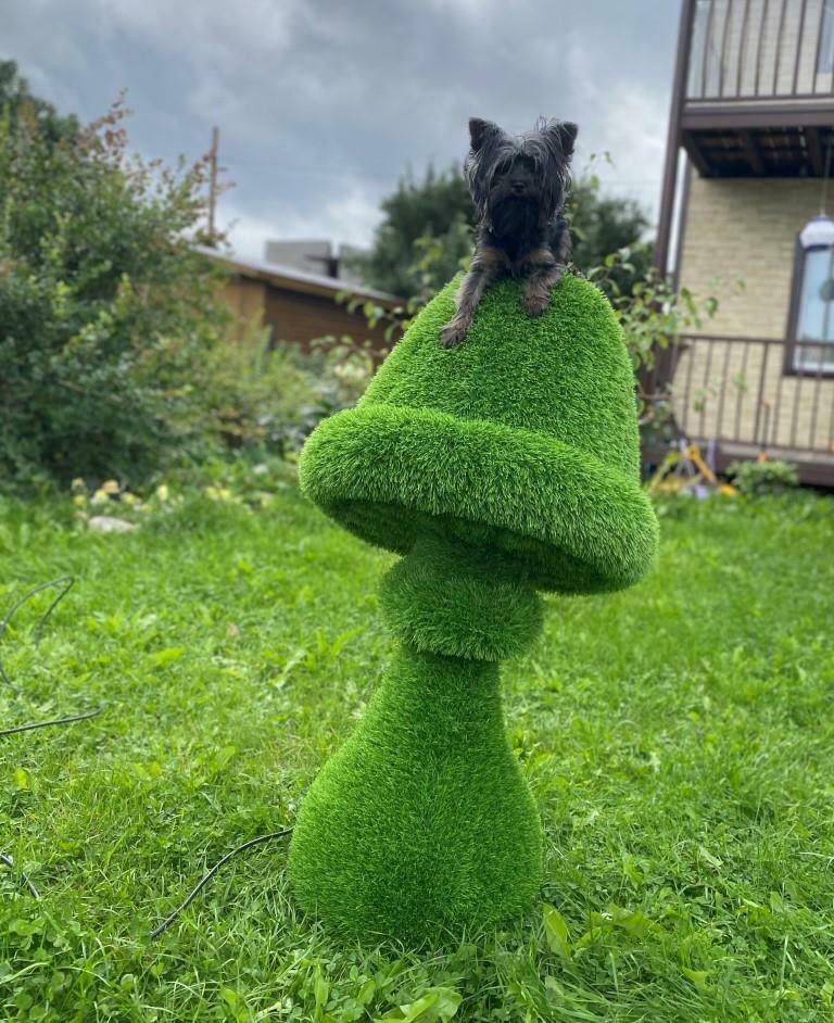 Топиарные фигуры