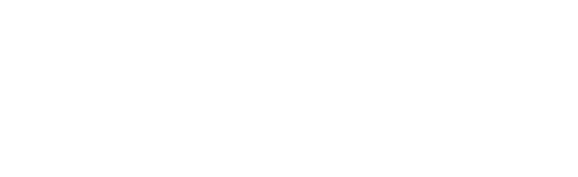 Северное Движение Northdrive