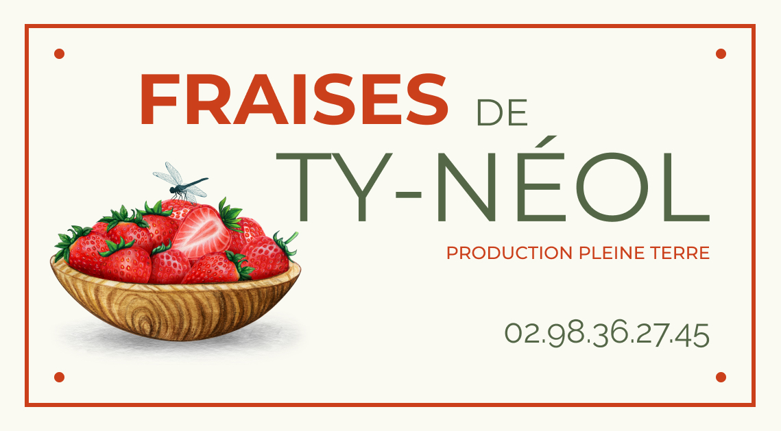 Fraises de Ty-Néol — Production pleine terre