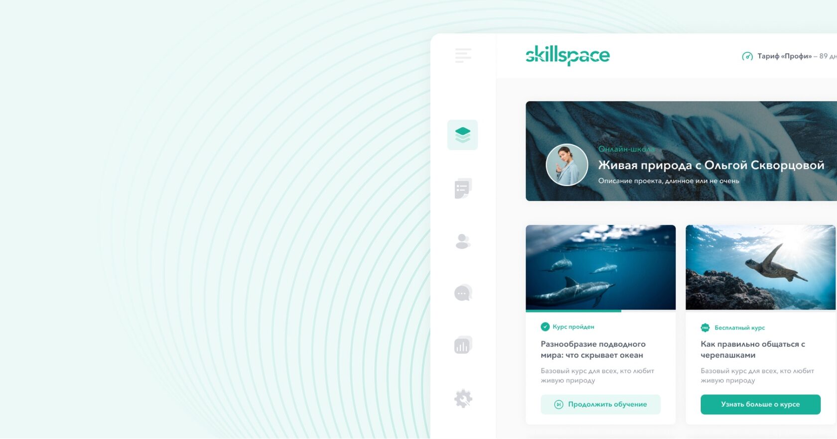 каталог курсов онлайн-школы на платформе Skillspace 