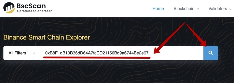 Как пользоваться блокчейн-эксплорером BscScan