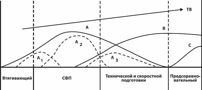 Две формы компенсаторной адаптации по Ю.В. Верхошанскому