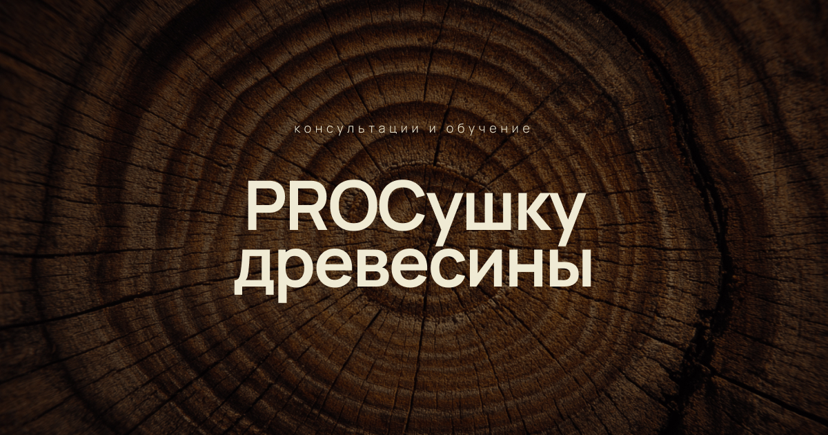 Превью проекта PROСушку древесины