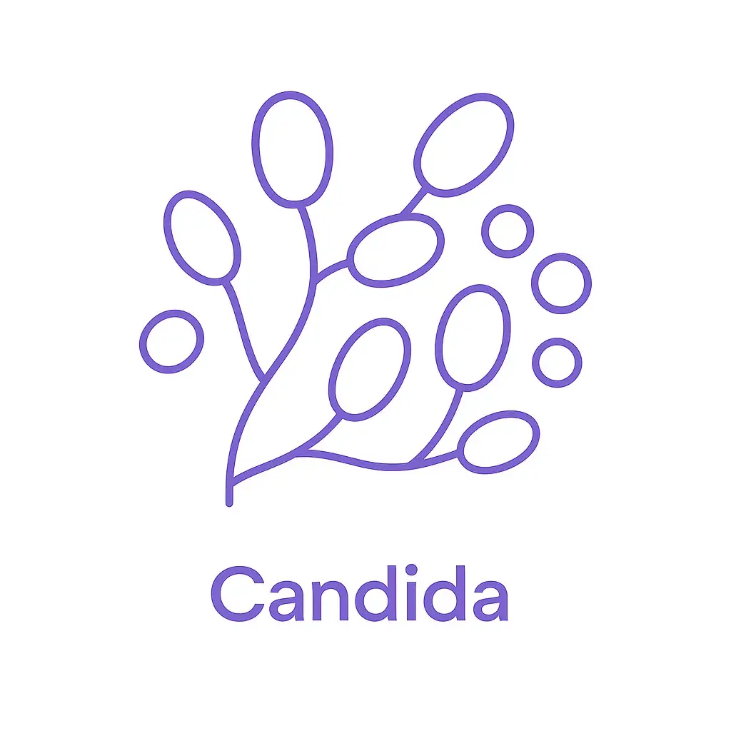 молекула кандиды