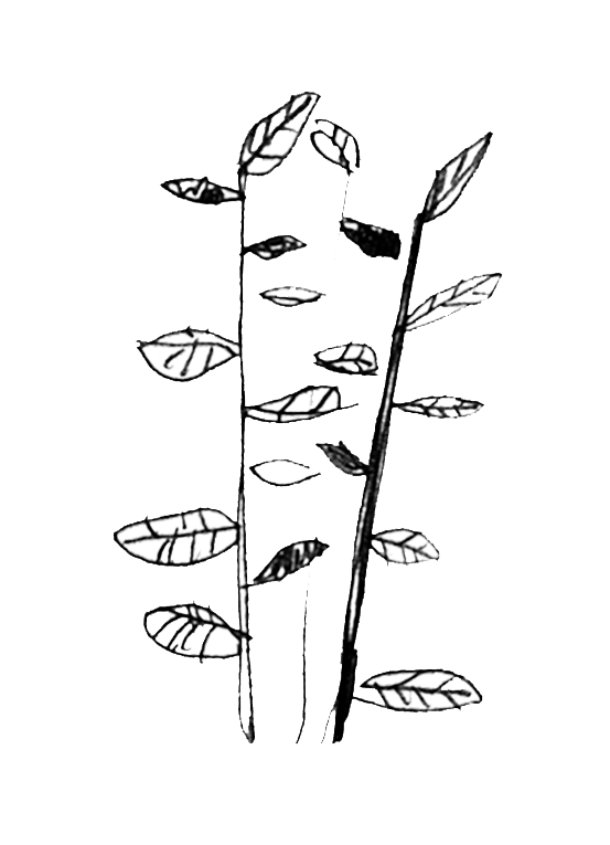 Большой театр кукол. Официальный сайт