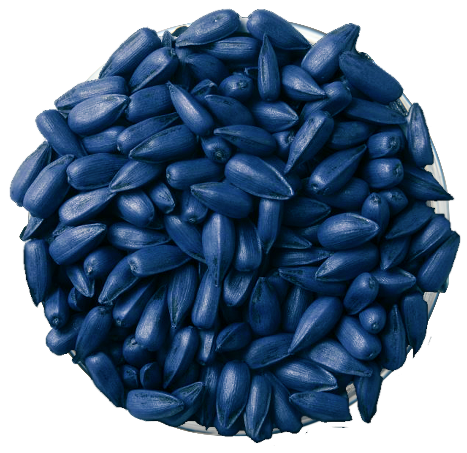 семена подсолнечника