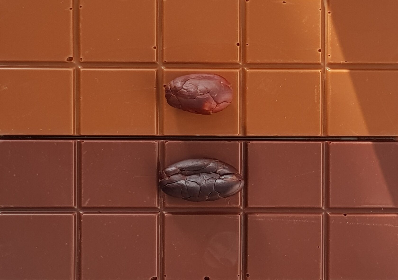 Шоколад из какао-бобов сорта Порселана