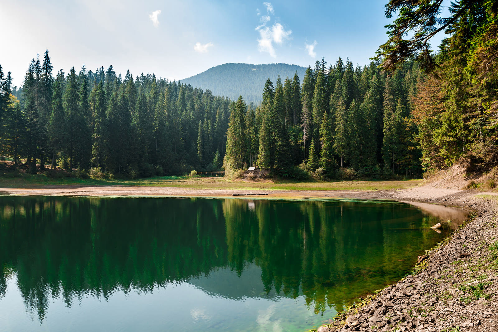 Природа Кубани