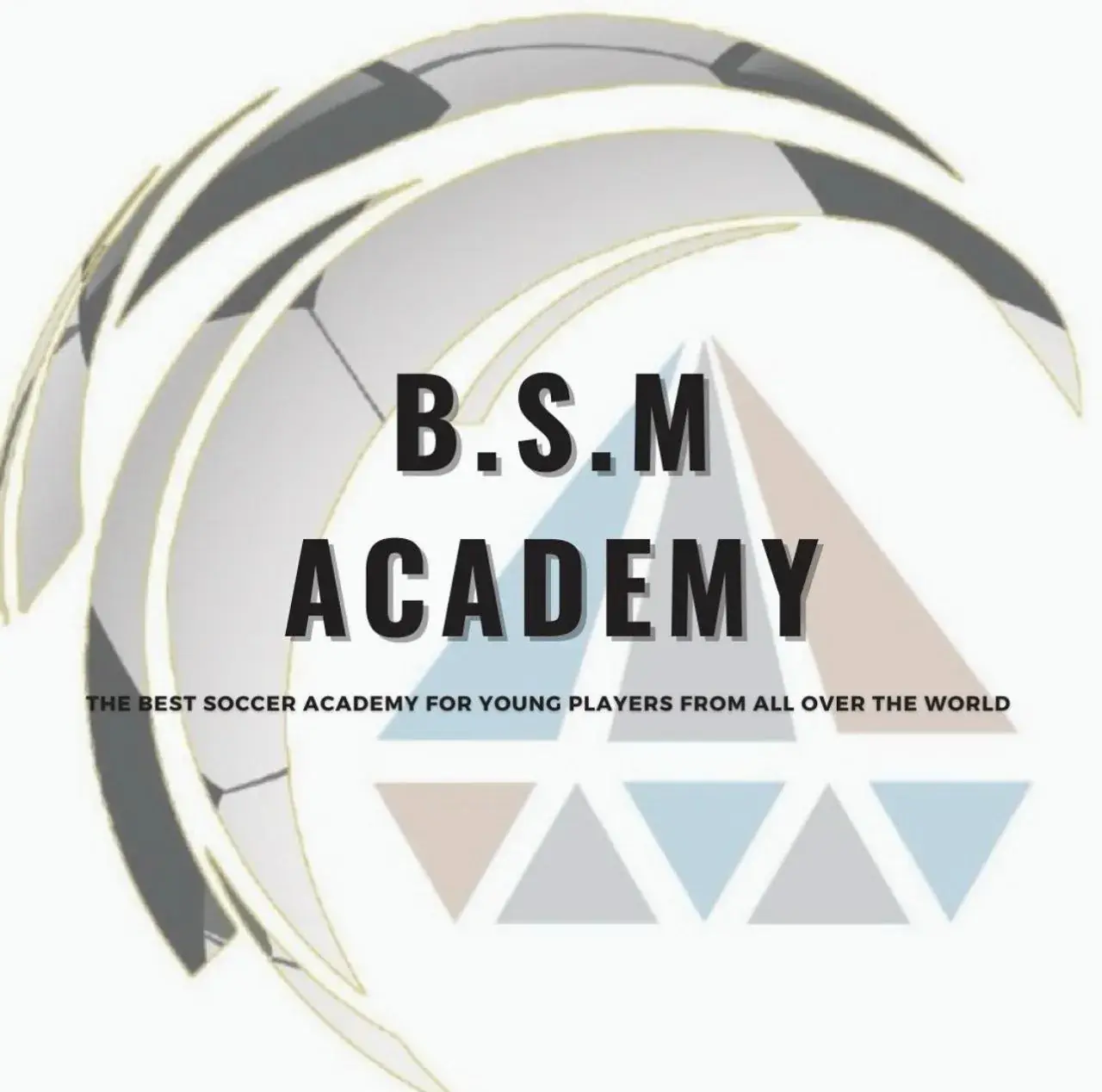 Эмблема BSM Academy