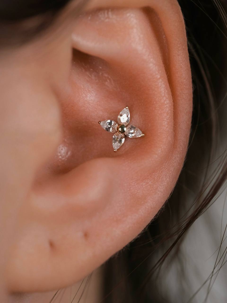 Пирсинг конч крупным планом