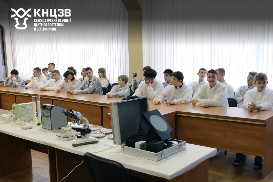 Краснодарский научный центр по зоотехнии и ветеринарии, ФГБНУ КНЦЗВ, Наука 0+ Кубань, научный фестиваль