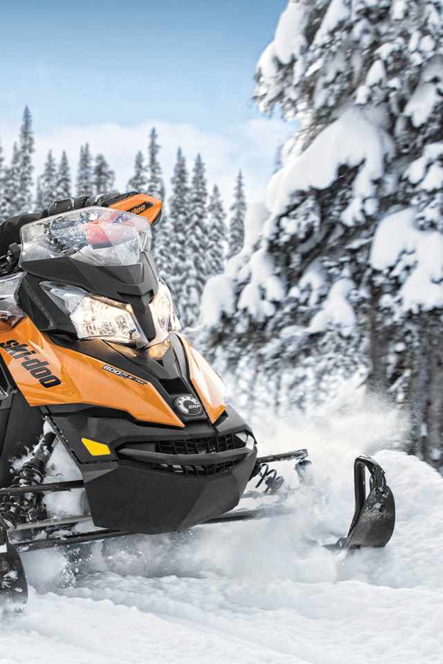 Купить питбайк 125 кубов в интернет-магазине MotoZona| Широкий ...