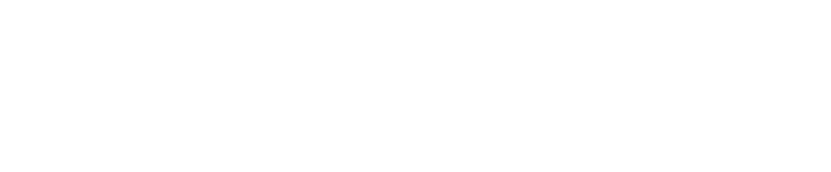 Partner 2