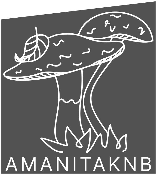 AMANITAKNB