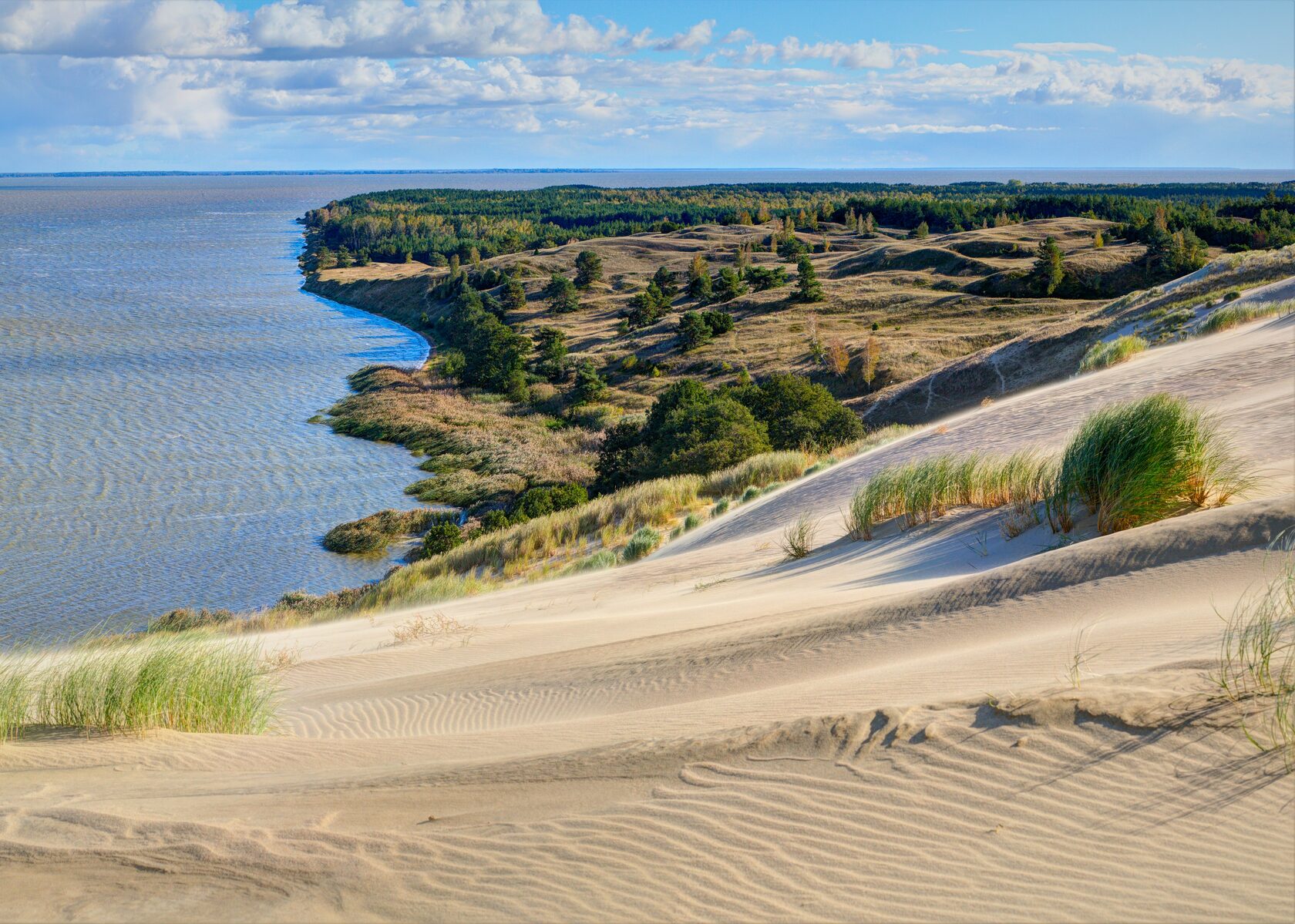 куршская коса фото сверху