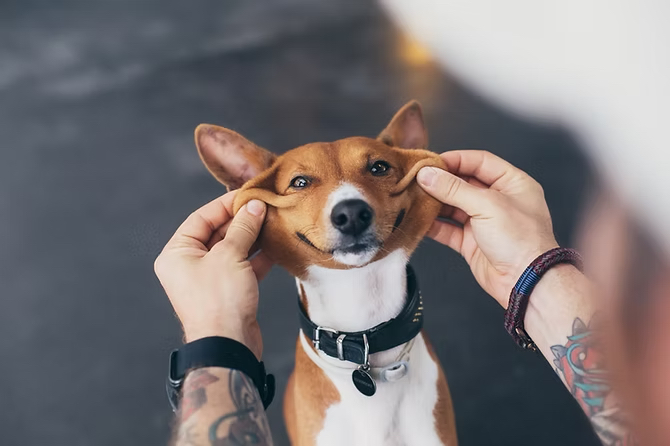 На стратегической сессии присутствуют разные лица