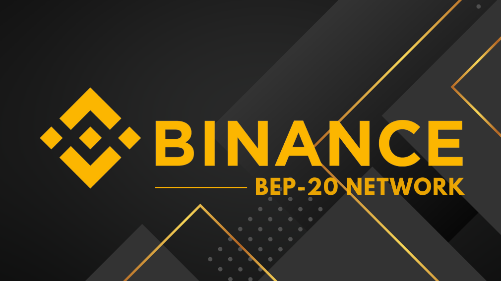 Binance BEP-20 network logo