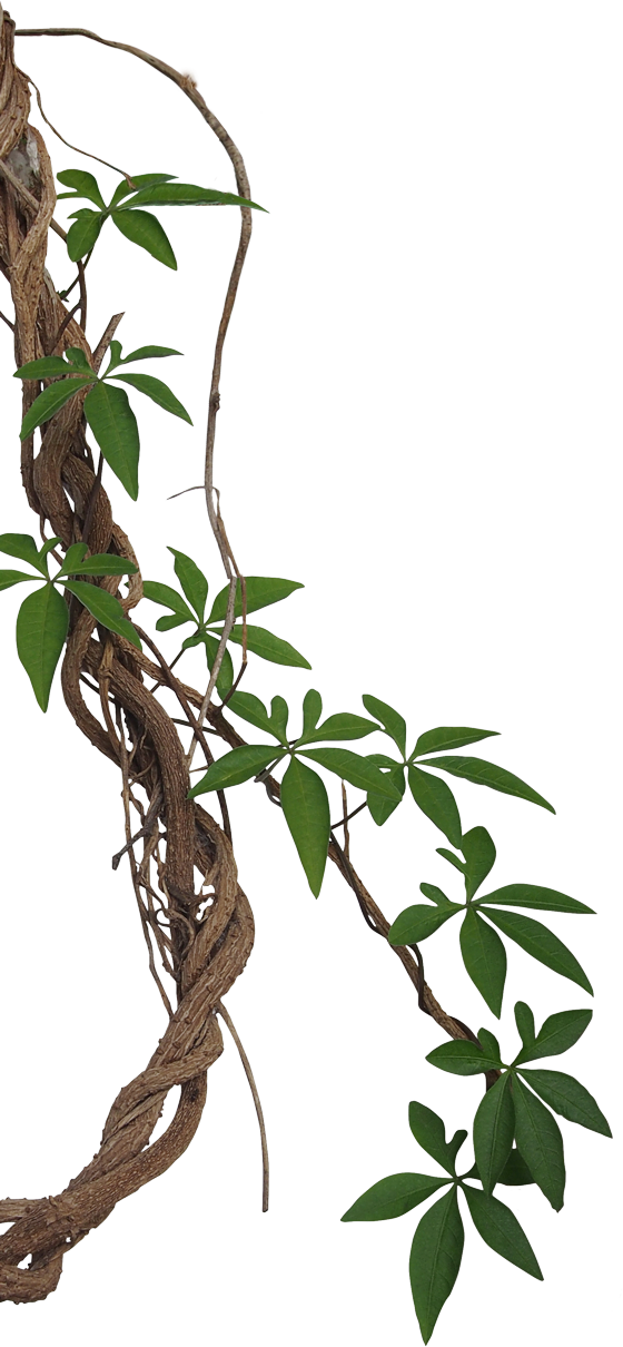 Дисковый кусторез от производителя | Экомет Групп