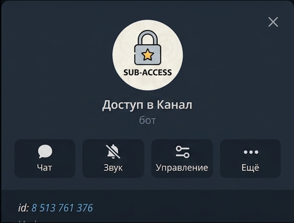 Главный экран SalesBot