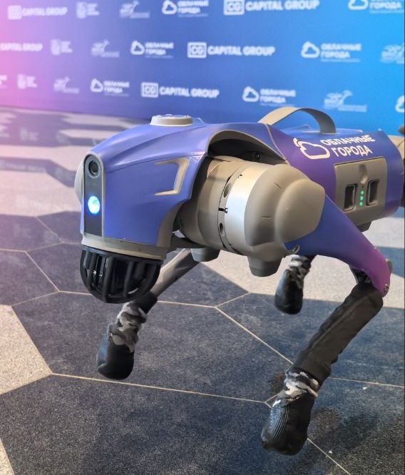 Облачные города 2025