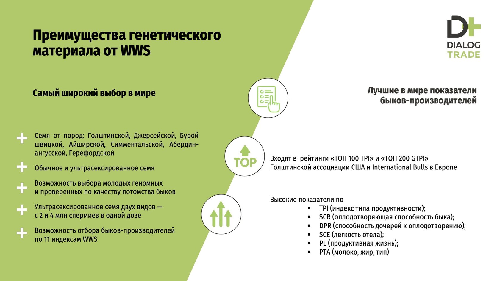 Цель и задачи в презентации оформление