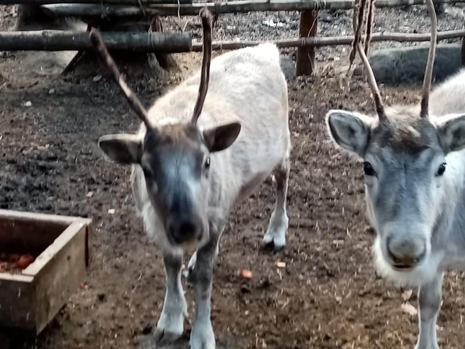 "Земля предков"