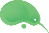  Kiwi camper 