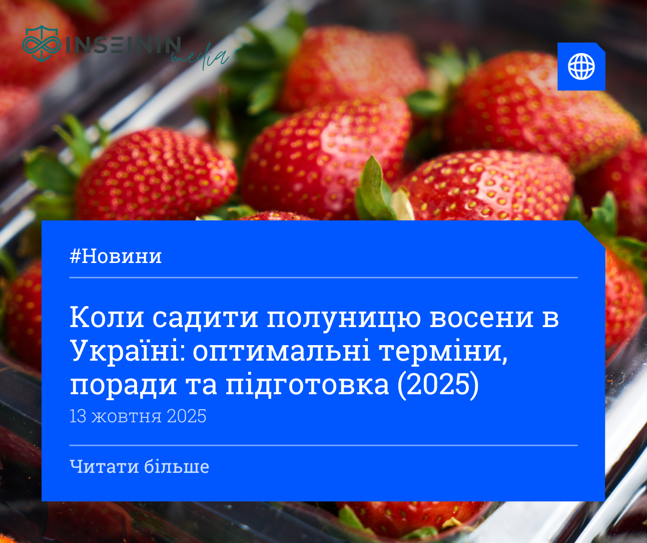 Коли садити полуницю восени в Україні: оптимальні терміни, поради та підготовка (2025)