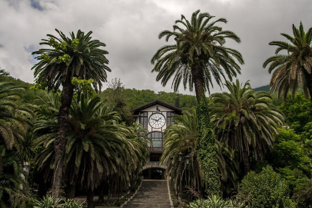 Отдых в Абхазии, отдых в Гаграх, путешествие, море, солнце, пляж, природа, отели, гостиницы, частный сектор, квартиры. Онлайн бронирование жилья в Абхазии.